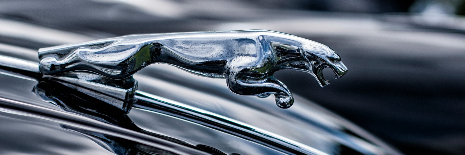 Jaguar Service