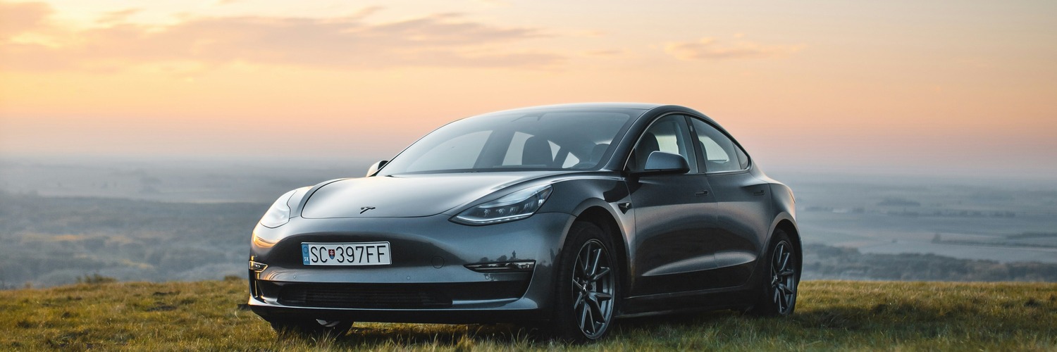 Tesla Service